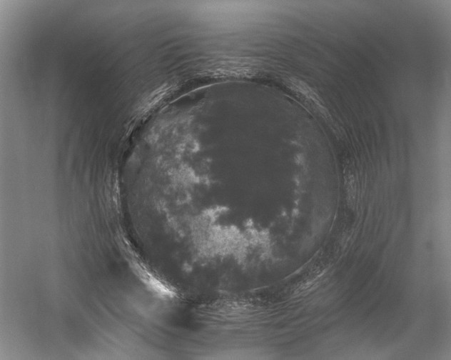 X0000058760729200509301017