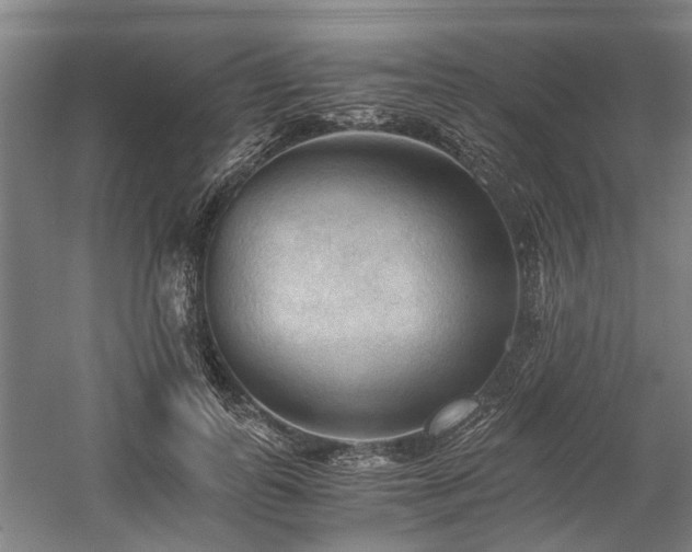 X0000058760747200509301017