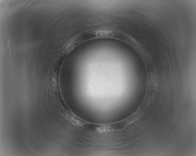 X0000058760761200509301017