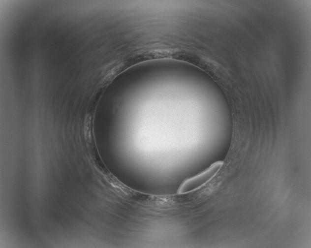 X0000058760768200509301018