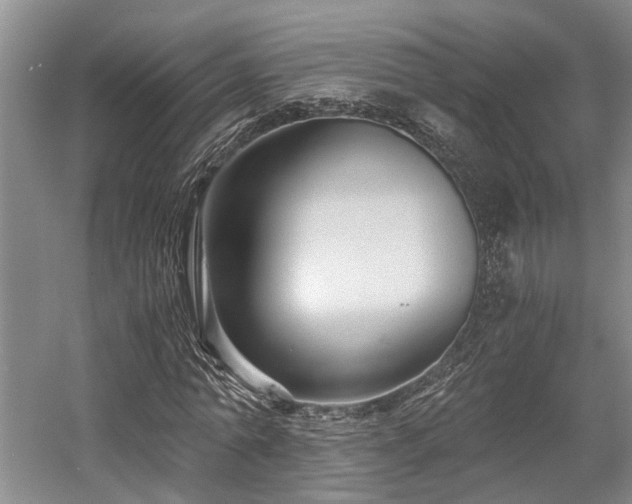 X0000058760774200509301017