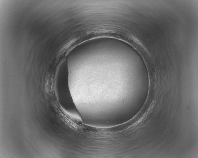 X0000058760777200509301017