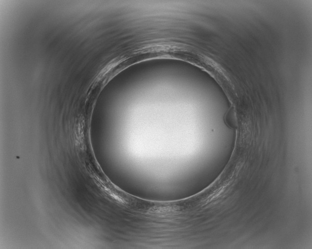 X0000058760778200509301017