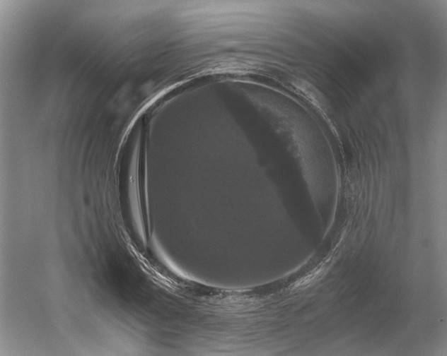 X0000058760779200509301017