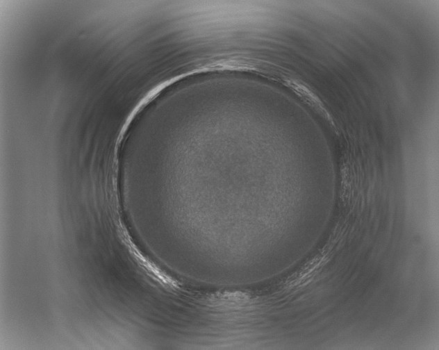 X0000058760784200509301016