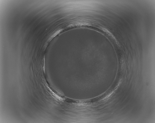 X0000058760785200509301016