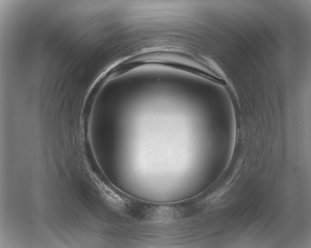 X0000058760787200509301016