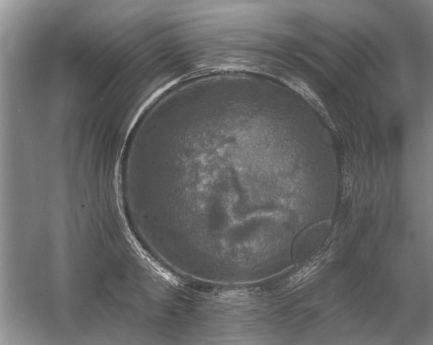 X0000058760798200509301016