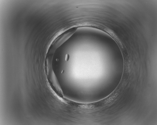 X0000058760805200509301016