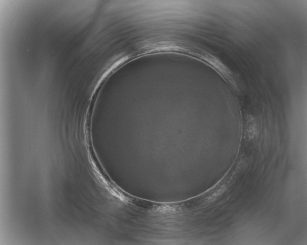 X0000058760806200509301016