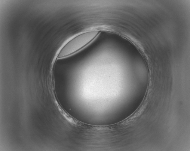 X0000058760816200509301016