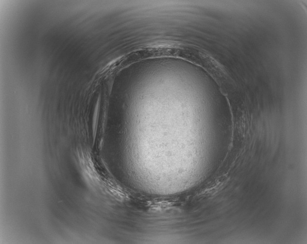 X0000058760821200509301015