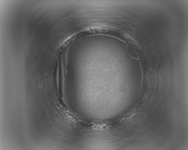 X0000058760822200509301015