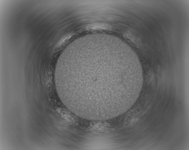 X0000058760824200509301015