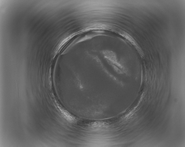 X0000058760842200509301016