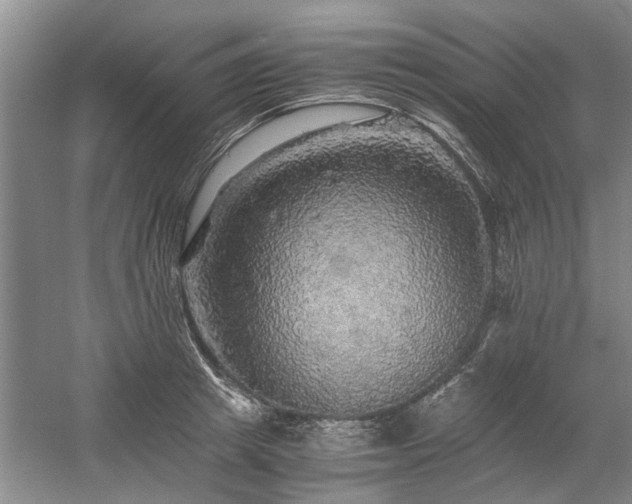 X0000058760849200509301016
