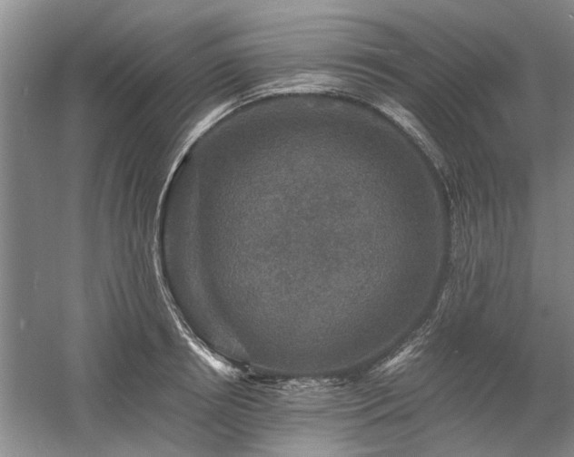 X0000058760850200509301016