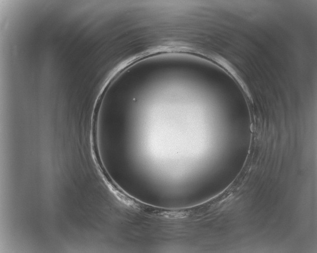 X0000058760861200509301016
