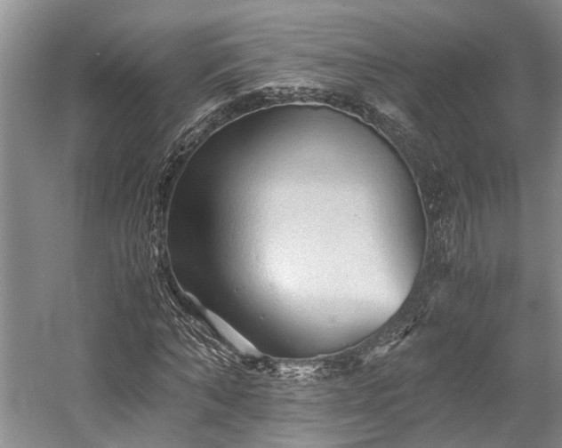 X0000058760870200509301015