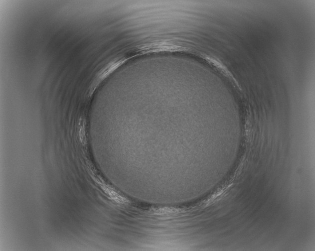 X0000058760873200509301015