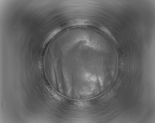 X0000058760874200509301015