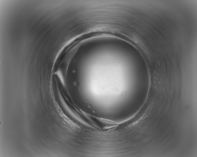 X0000058760880200509301015