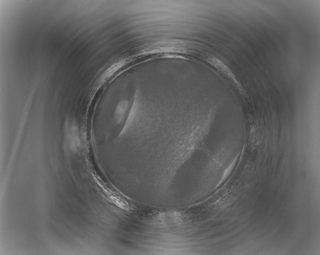 X0000058760882200509301015