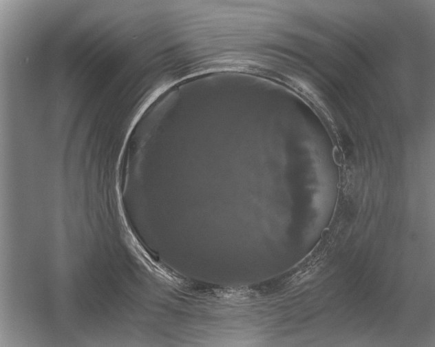 X0000058760899200509301015
