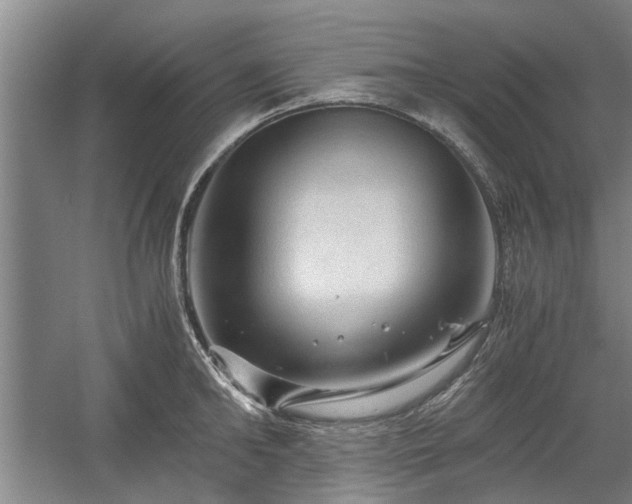 X0000058760902200509301014