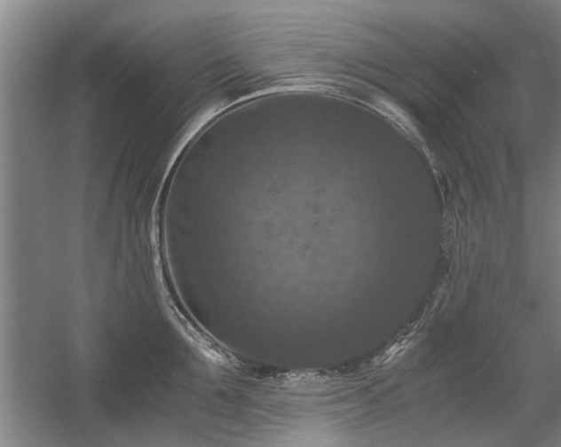X0000058760907200509301014