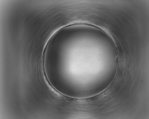 X0000058760911200509301014