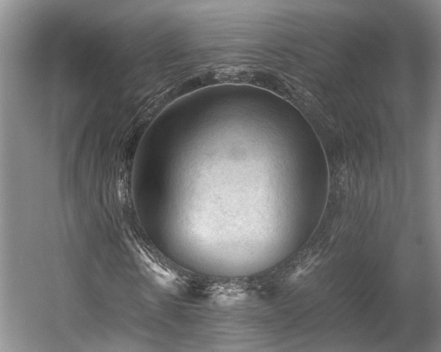 X0000058760914200509301014