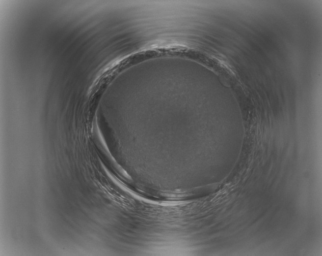 X0000058760920200509301014