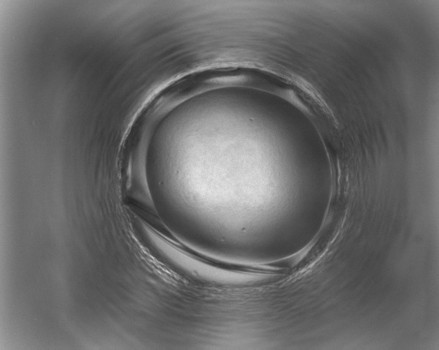 X0000058760926200509301014