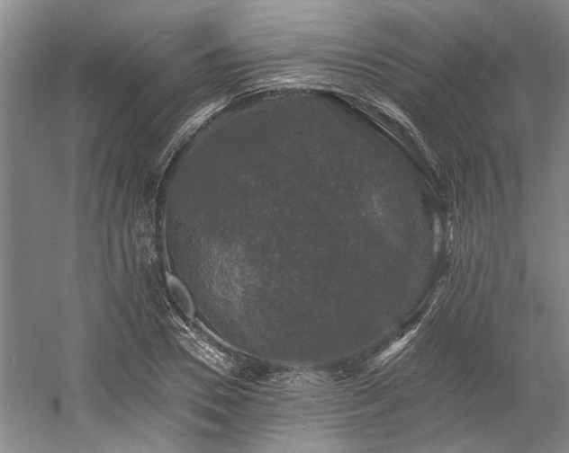 X0000058760930200509301014