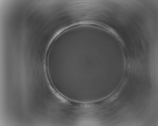 X0000058760958200509301014