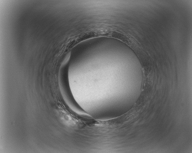X0000058760961200509301013