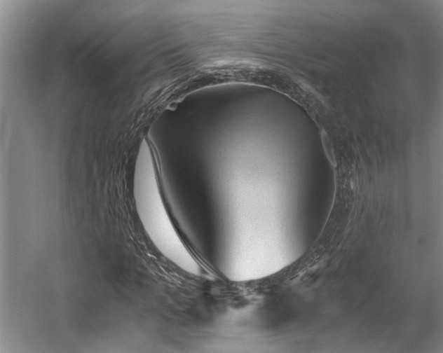 X0000058760965200509301013