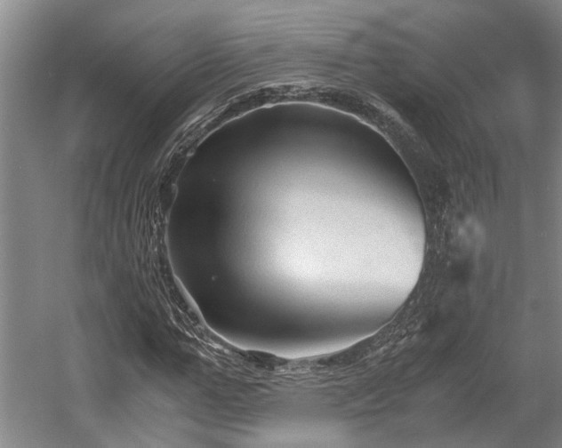 X0000058760967200509301013