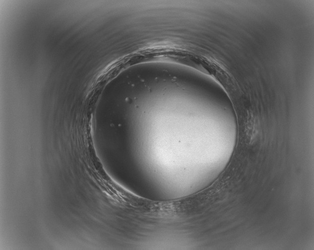X0000058760968200509301013