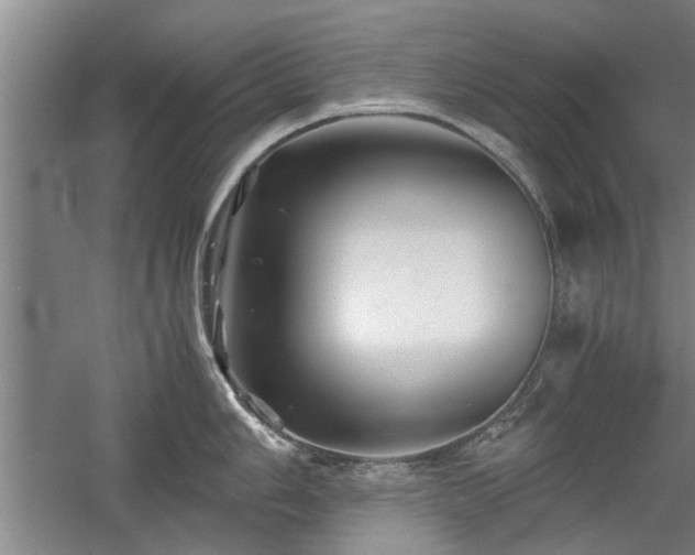 X0000058761006200509301013