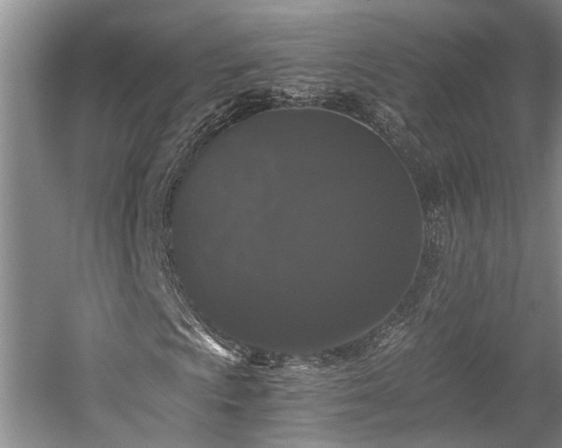 X0000058761009200509301012