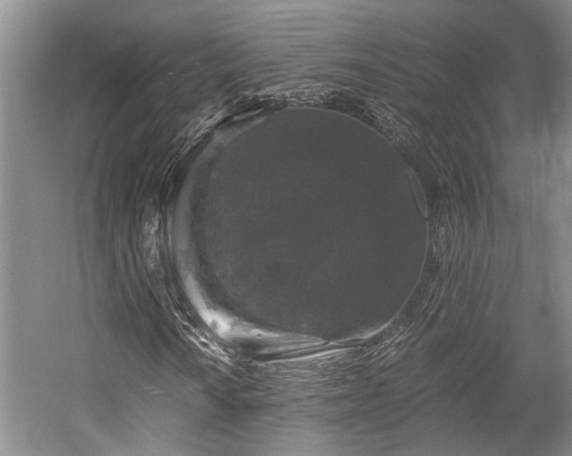 X0000058761010200509301012