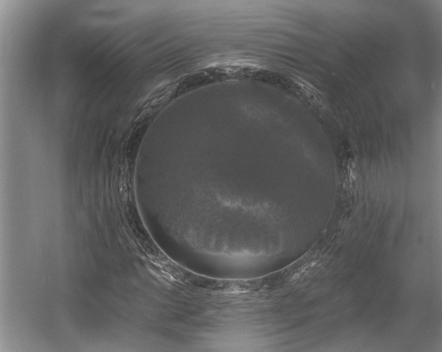 X0000058761014200509301012