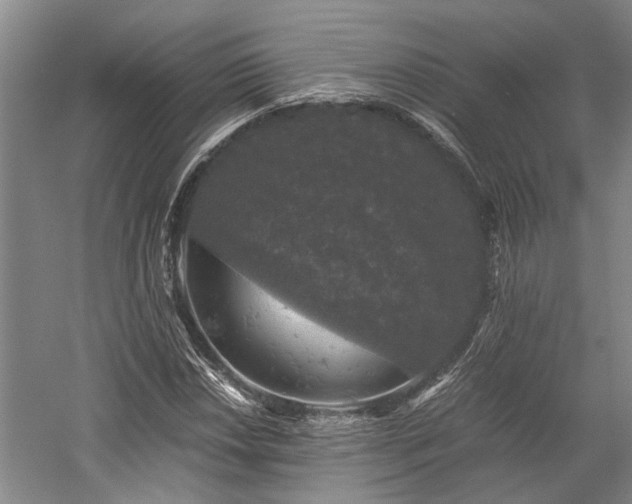 X0000058761018200509301012