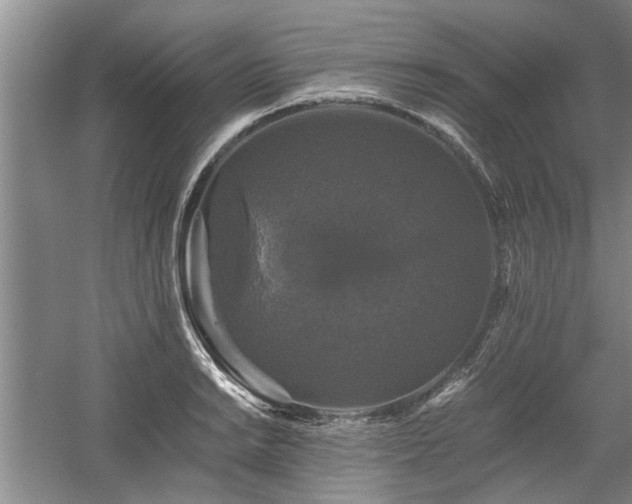 X0000058761038200509301012