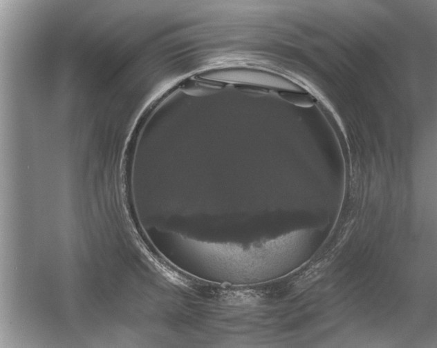 X0000058761045200509301012
