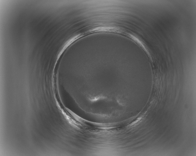 X0000058761050200509301013