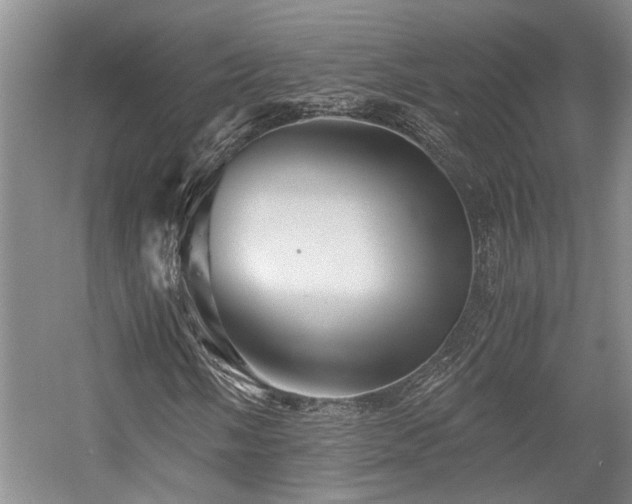 X0000058761058200509301012