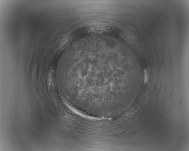 X0000058761059200509301012